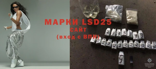 индика Бронницы