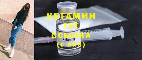 индика Бронницы