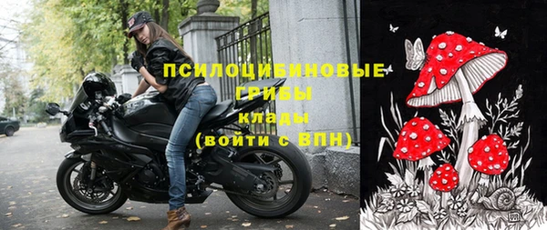 индика Бронницы