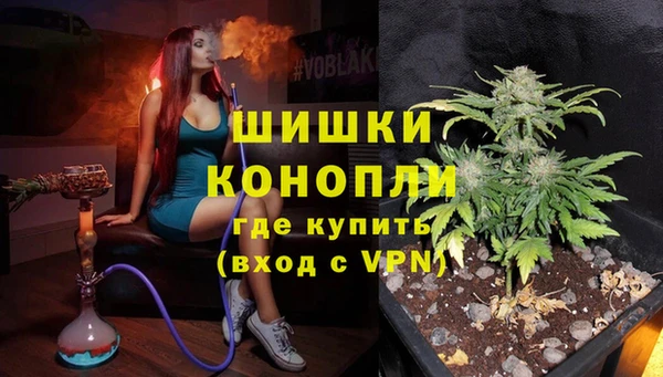 индика Бронницы