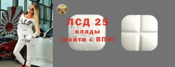 индика Бронницы
