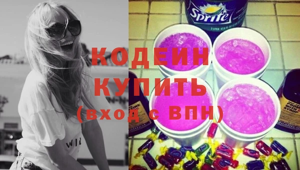 индика Бронницы