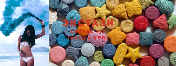 индика Бронницы