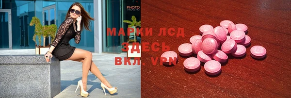 индика Бронницы