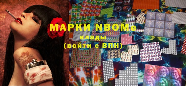 индика Бронницы