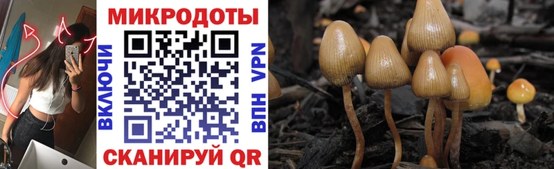 Псилоцибиновые грибы MAGIC MUSHROOMS  Чита 